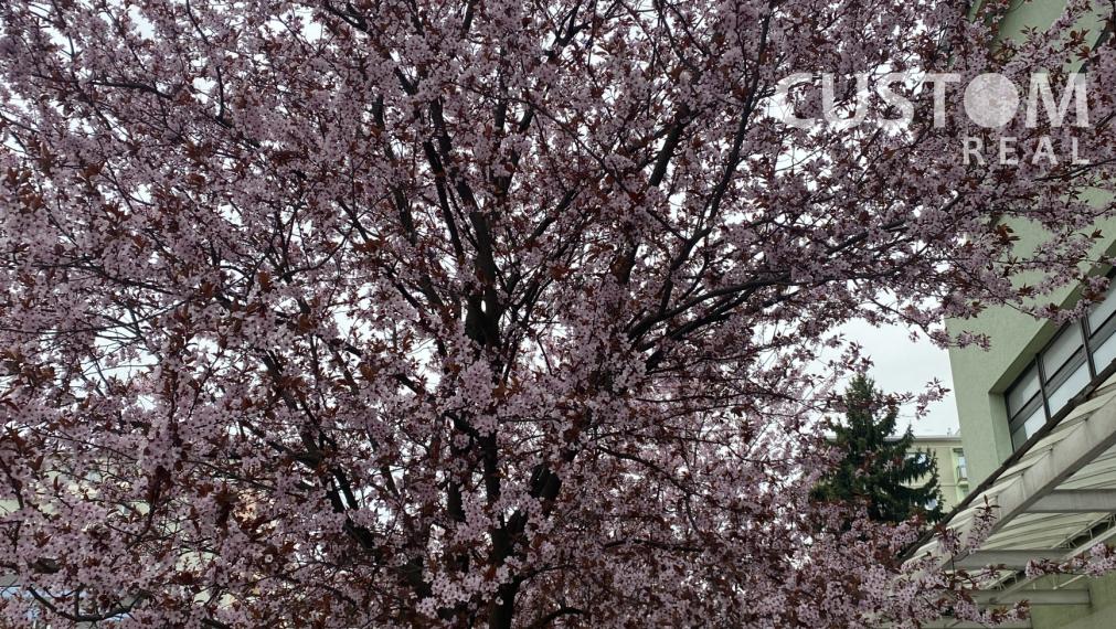 Tehlový zrekonštruovaný 3 izbový byt - Bulvár - REZERVOVANÉ