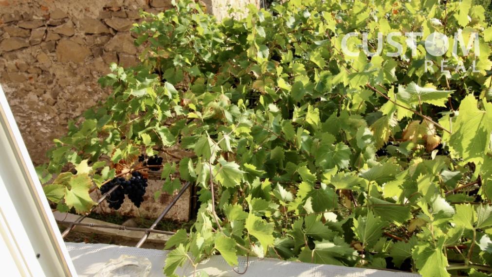 Veľkorysý rodinný dom v Žiline - mestská časť Budatín