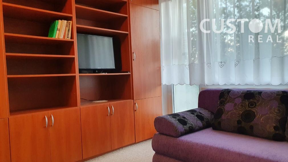 Prenájom garsónky s loggiou, Hliny V