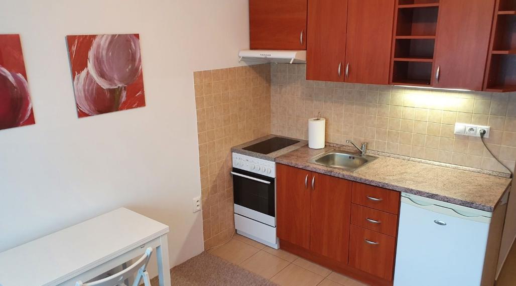 Prenájom garsónky s loggiou, Hliny V