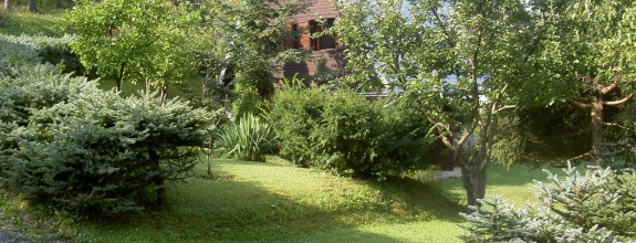 Predáme  chatku v Divine s pozemkom o výmere 439 m2