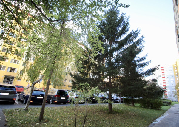 Veľký 4 - izbový byt s lodžiou  v mestskej časti Petržalka  REZERVOVANÉ!