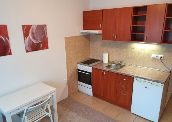 Prenájom garsónky s loggiou, Hliny V