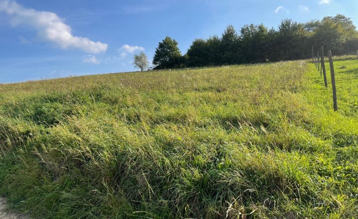 Stavebný pozemok 1037 m2 Kotrčina Lúčka - investičný - fotografia 2