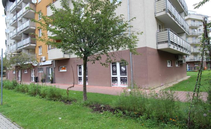 Obchodný priestor Vlčince II - fotografia 3